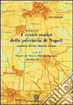 I centri storici della provincia di Napoli libro