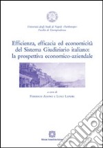 Efficienza, efficacia ed economicità del sistema giudiziario italiano. La prospettiva economico-aziendale libro