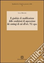 Il giudizio di modificazione delle condizioni di separazione dei coniugi di cui all'art. 710 c.p.c. libro