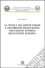 La tutela dei diritti umani e dei principi democratici nell'azione esterna dell'Unione Europea libro