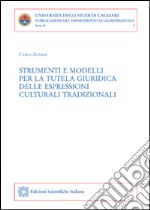 Strumenti e modelli per la tutela giuridica delle espressioni culturali tradizionali