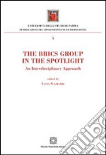 The Brics Group in the sportlight. An interdisciplinary approach libro