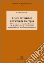 Il foro lavoristico nell'Unione Europea. Dall'esperienza dei singoli ordinamenti alla disciplina del Reg. UE 1215/2012  libro