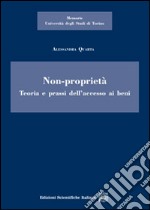 Non-proprietà. Teoria e prassi dell'accesso ai beni libro