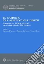 In cammino tra aspettative e diritti. Fenomenologia dei flussi migratori e condizione giuridica dello straniero libro