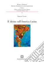 Il diritto nell'America latina libro