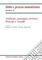 Ambiente, paesaggio, territorio. Principi e vicende