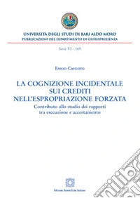 La cognizione incidentale sui crediti nell'espropriazione forzata. Contributo allo studio dei rapporti tra esecuzione e accertamento libro