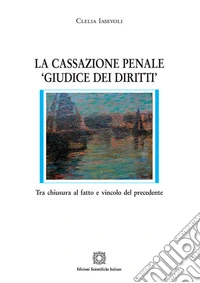 La cassazione penale «giudice dei diritti» libro