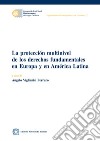 La protección multinivel de los derechos fundamentales en Europa y en América Latina libro