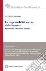 La responsabilità sociale delle imprese. Strumenti attuativi e rimedi