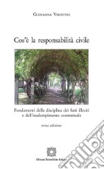 Cos'è la responsabilità civile libro