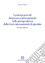 I principi generali del processo internazionale nella giurisprudenza della corte internazionale di giustizia