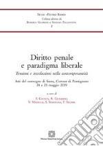 Diritto penale e paradigma liberale libro