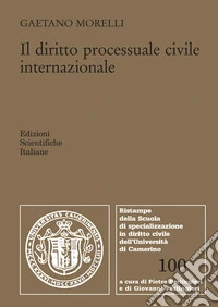 Il diritto processuale civile internazionale