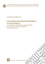 Evoluzioni del diritto di proprietà sui beni pubblici. Il demanio marittimo, da demanio necessario a bene comune. Il caso Napoli libro