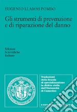 Gli strumenti di prevenzione e di riparazione del danno libro