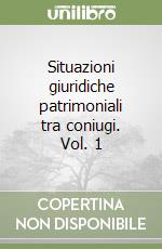 Situazioni giuridiche patrimoniali tra coniugi. Vol. 1