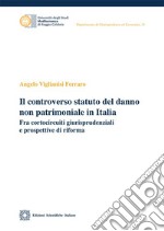 Il controverso statuto del danno non patrimoniale in Italia libro