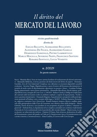 Il diritto del mercato del lavoro (2025). Vol. 2 libro