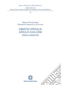 Diritto penale anglo-gallese libro