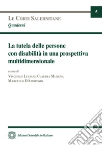 La tutela delle persone con disabilità in una prospettiva multidimensionale libro