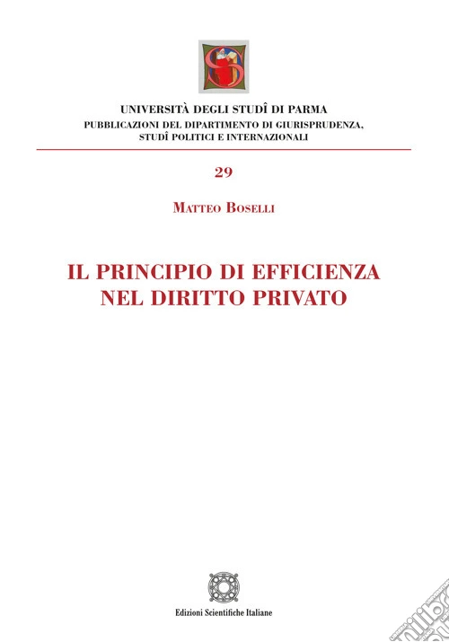 Il principio di efficienza nel diritto privato