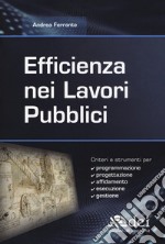 Efficienza nei lavori pubblici