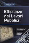 Efficienza nei lavori pubblici libro di Ferrante Andrea