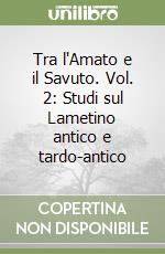 Tra l'Amato e il Savuto. Vol. 2: Studi sul Lametino antico e tardo-antico libro