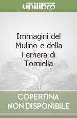 Immagini del Mulino e della Ferriera di Torniella libro