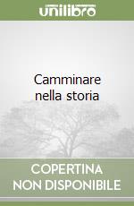 Camminare nella storia libro