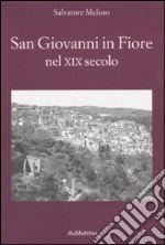 San Giovanni in Fiore nel XIX secolo libro