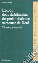 La coda della distribuzione dei profitti di alcune microaree del Nord. Stime e simulazioni