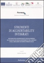 Strumenti di accountability integrati libro