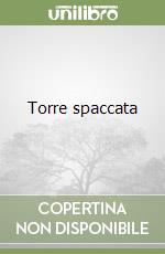 Torre spaccata libro