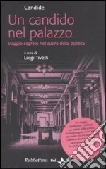 Un Candido nel palazzo. Viaggio segreto nel cuore della politica