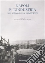 Napoli e l'industria dai Borboni alla dismissione libro