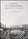 Napoli e l'industria dai Borboni alla dismissione libro