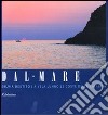 Dal mare a vela lungo le coste della Calabria libro