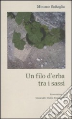 Un Filo d'erba tra i sassi libro