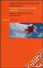 Winds of democratic change in the mediterranean. Processes, actors and possible outcomes libro