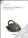 Terra, acqua, mani, fuoco. Ceramica popolare in Calabria. Ediz. illustrata libro