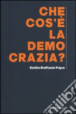 Che cos'è la democrazia libro