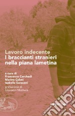 Lavoro indecente. I braccianti stranieri nella piana lametina