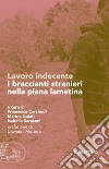 Lavoro indecente. I braccianti stranieri nella piana lametina libro