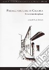 Paesaggi culturali di Calabria. Percorsi interdisciplinari libro
