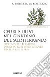 Cedri e ulivi nel giardino del Mediterraneo. Storia delle relazioni diplomatiche italo-libanesi tra il 1943 e il 1958 libro