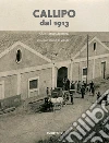 Callipo dal 1913. La storia, gli uomini, il mare libro di Manfredi Gianfranco