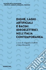 Dighe, laghi artificiali e bacini idroelettrici nell'Italia contemporanea libro